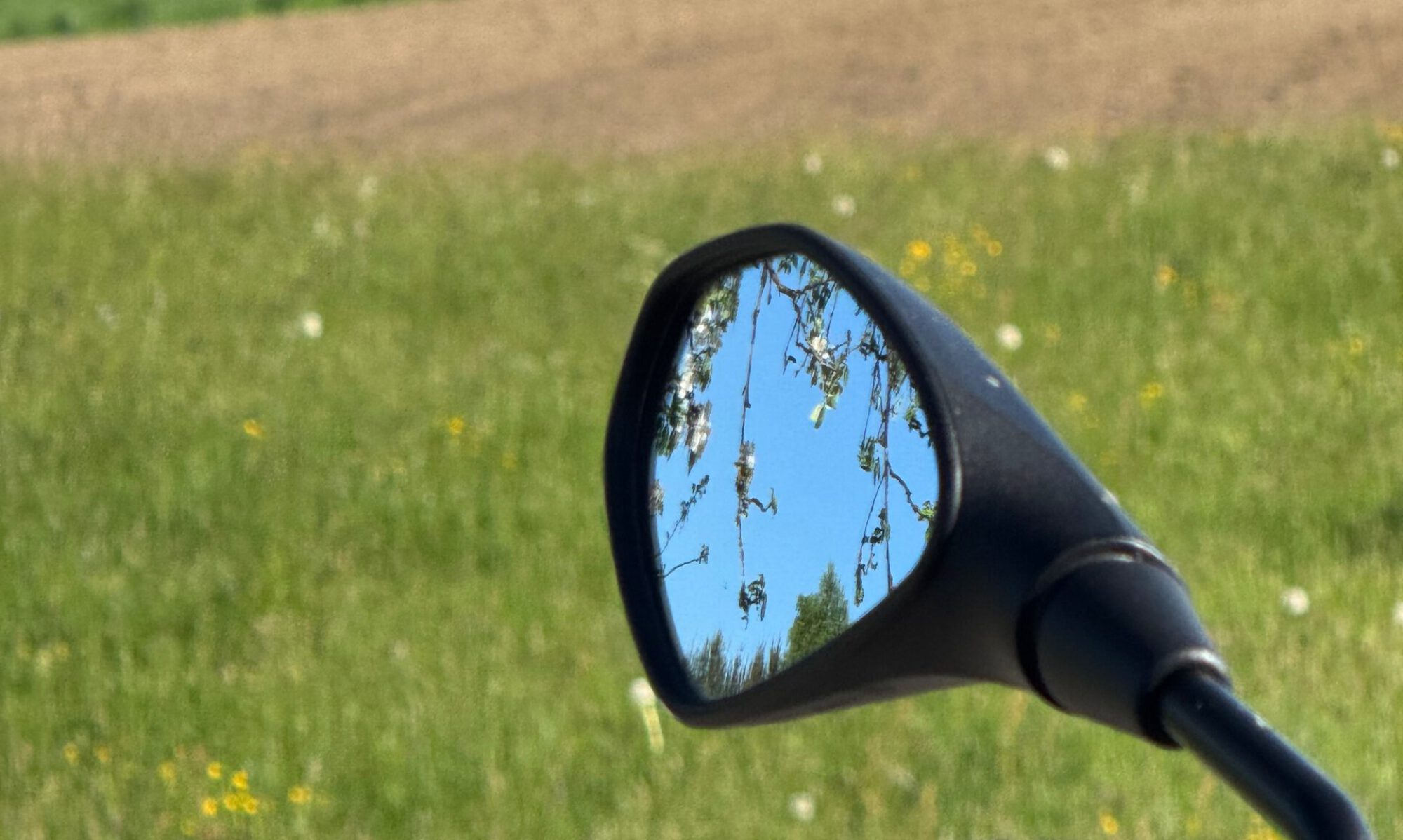 20250501-alles neu macht der Mai